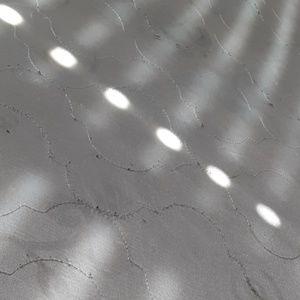 Meet your Posher, Louie